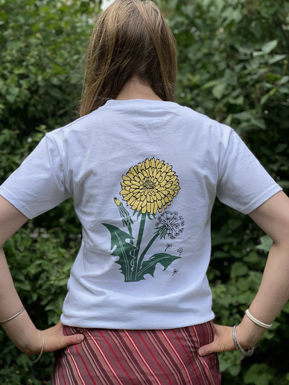 T-shirt (mp)