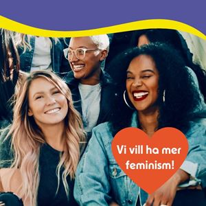 Bild på Vi vill ha mer feminism! - folder