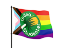 Bild på Flagga - pride - Gröna Studenter