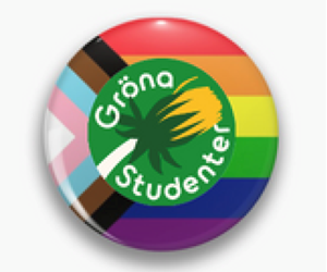 Bild på Knapp - pride - Gröna Studenter
